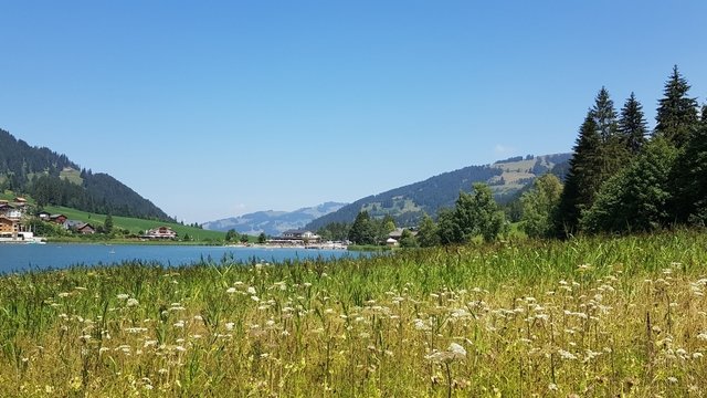 Schwarzsee_Badewiese Stahlemutta